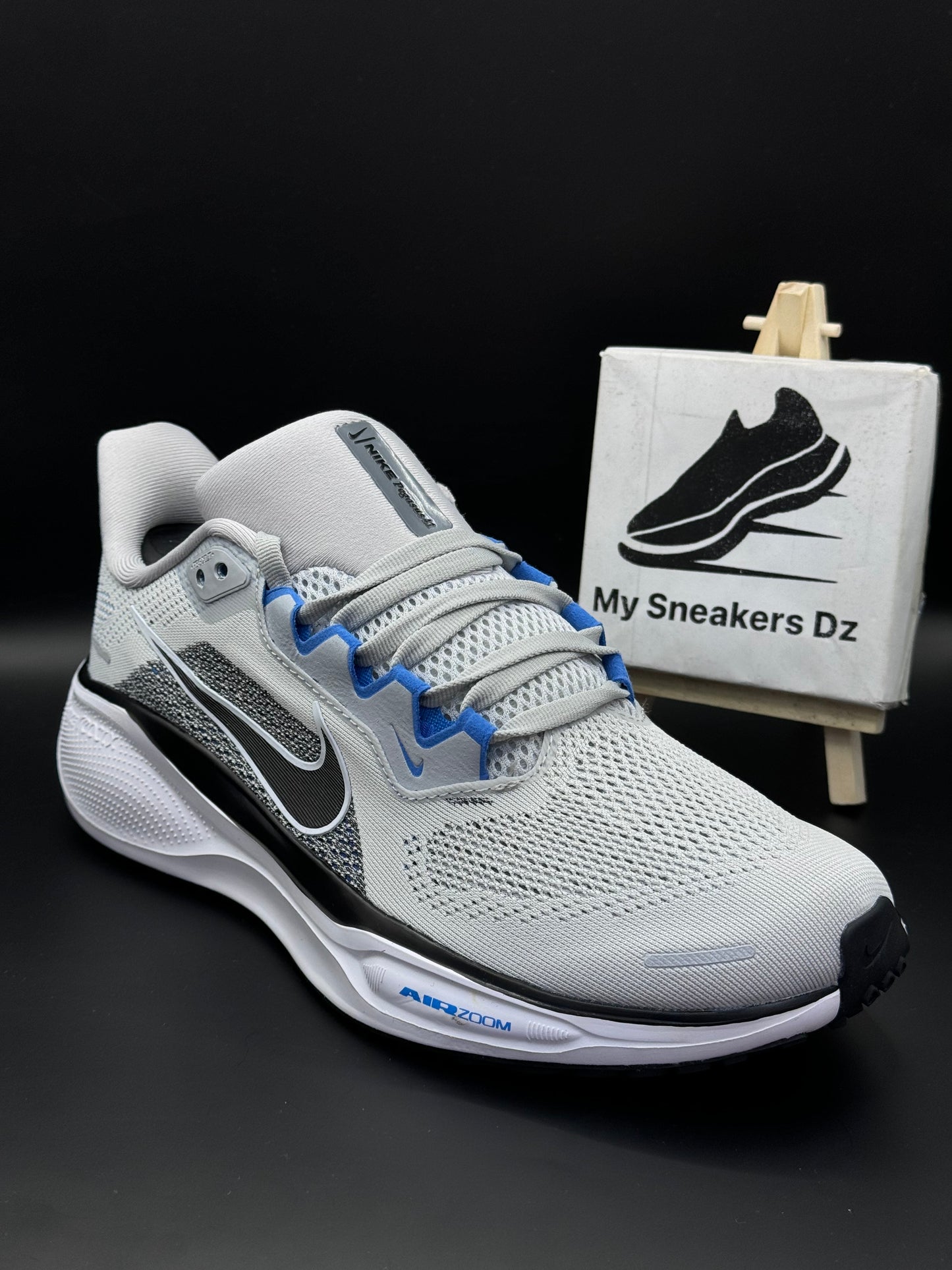 Pegasus 41 grey and blue