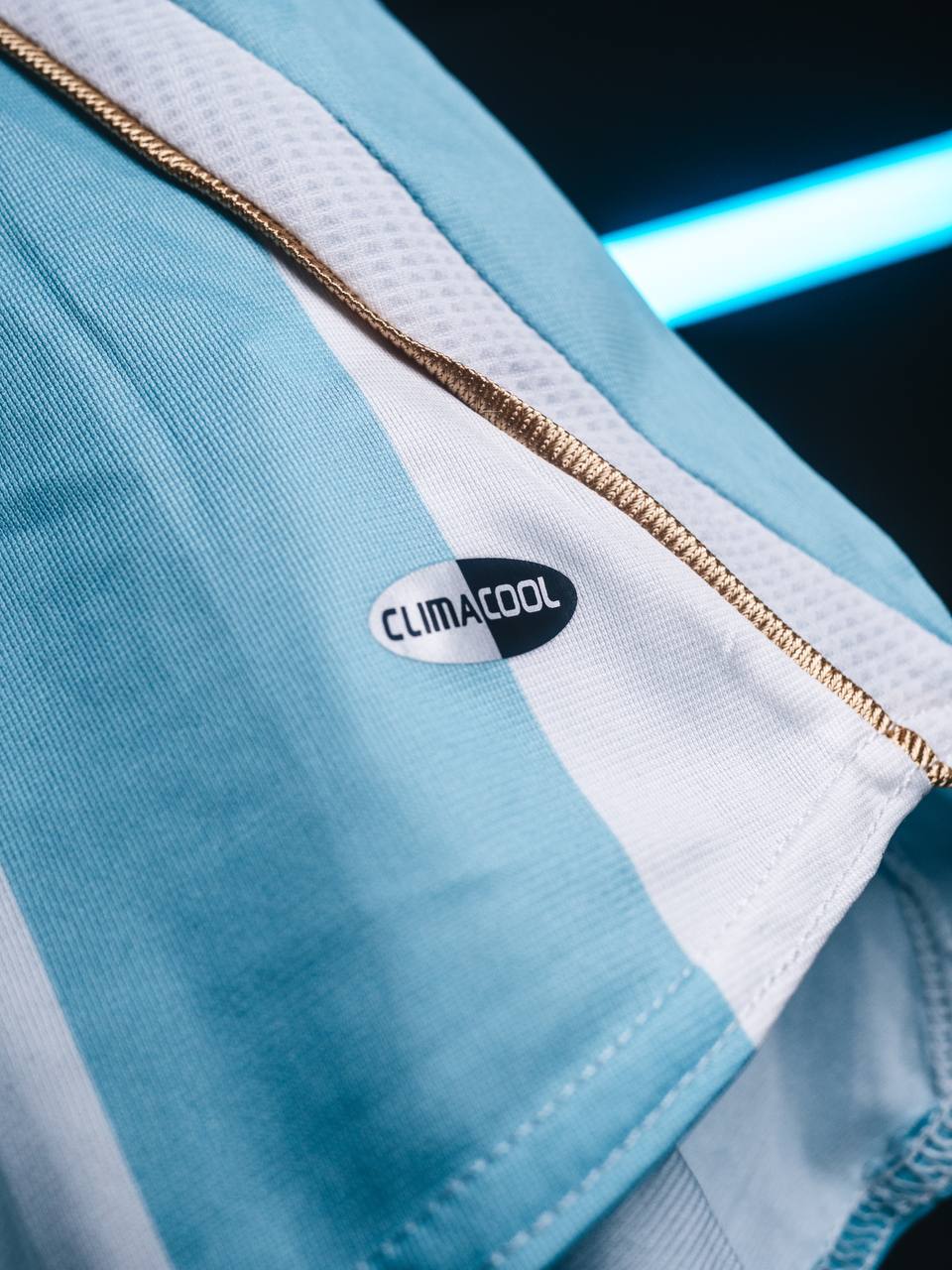 ARGENTINA VINTAGE JERSEY (BLUE &WHITE)
