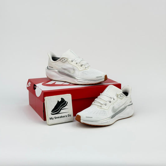 Pegasus 41 silver